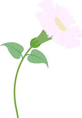 黛西向量