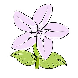 野生花卉矢量