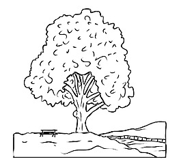 樹(shù)的風(fēng)景畫(huà)
