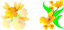 黃色的花