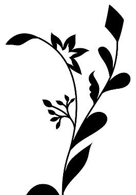 黑色形狀的花藝設(shè)計