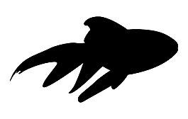 魚形