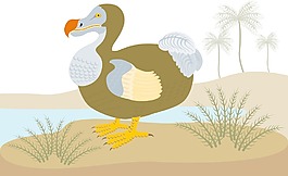 渡渡鳥渡渡鳥復古