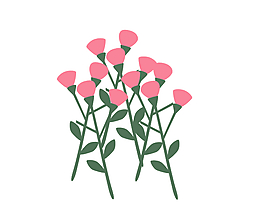 玫瑰花