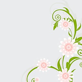 美麗的花卉背景