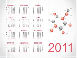 矢量日歷的新年2011