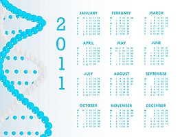 矢量日歷的新年2011