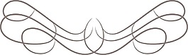 書(shū)法的向量元素
