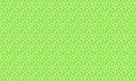 青草树叶327