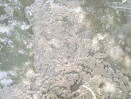 dirty_mud_water