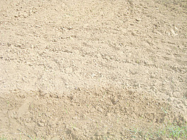 field_ground_texture