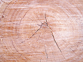 lumber_wood_texture