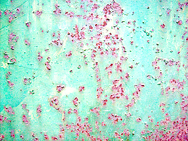rust_metal_paint