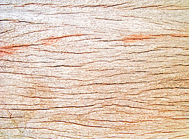 wooden_backdrop