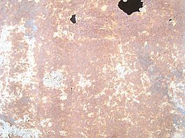 rusty_metallic_sheet