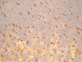 rough_metal_sheet