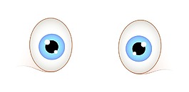 可爱的眼睛