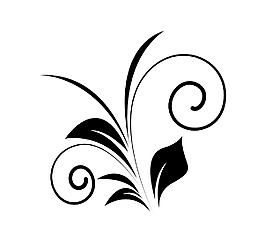 裝飾旋流花藝設計元素矢量