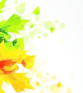美丽的秋天的落叶背景矢量素材