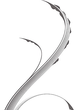 矢量花卉渦流