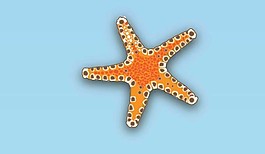 紅色海星