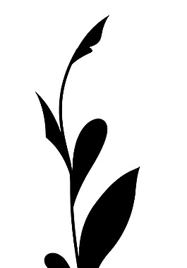 蓬勃發(fā)展的輪廓