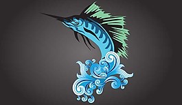 漂亮的金槍魚