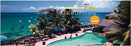 海邊水母旅游海報