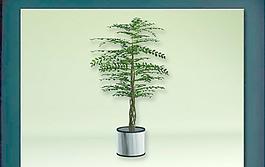 裝飾構(gòu)件之植物3D模型植物033
