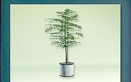 裝飾構(gòu)件之植物3D模型植物032