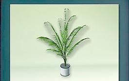 裝飾構(gòu)件之植物3D模型植物027