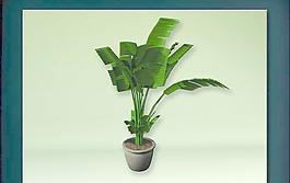 裝飾構(gòu)件之植物3D模型植物026
