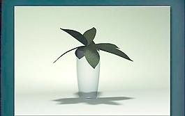 裝飾構(gòu)件之植物3D模型植物013