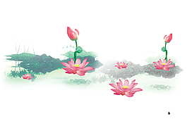 荷花