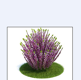 弹花3D模型下载