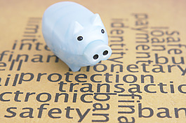 保護(hù)的概念