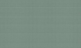 日本象素555