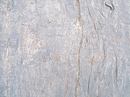 timber_wood_texture