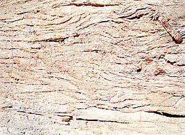 rough_wood
