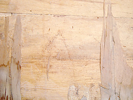 wood_ply_texture