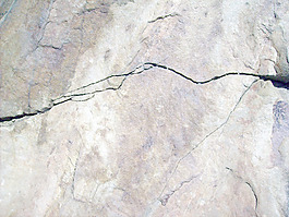 cob_texture