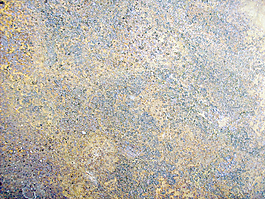rustic_texture