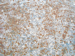 corrosion_texture