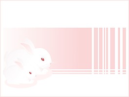 可爱的兔子的背景设置