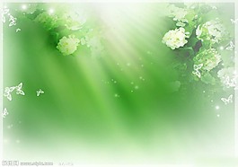 淡雅風(fēng)格背景PPT