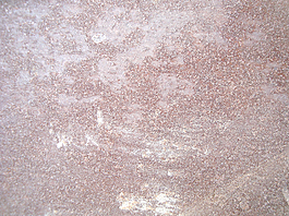 brown_cemented_wall