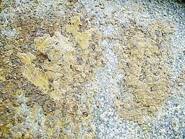 grungy_metal_sheet