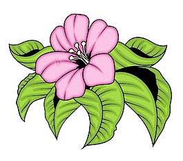 向量的粉紅花
