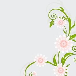 美麗的花卉背景