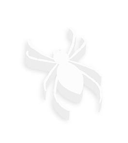 萬圣節(jié)